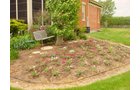 Property photo 54 - REAL ESTATE AUCTION! Grand Historic All Brick Home on 2.45 Acres!